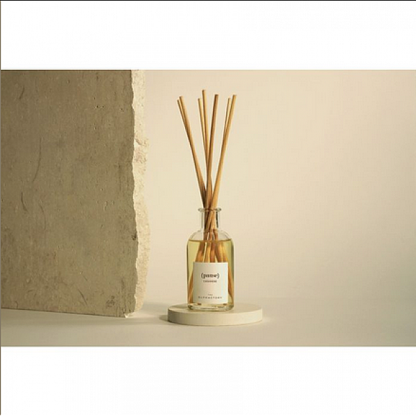 Αρωματικό Χώρου Στικς 100ml Cashmere Pause Diffuser Olphactory  